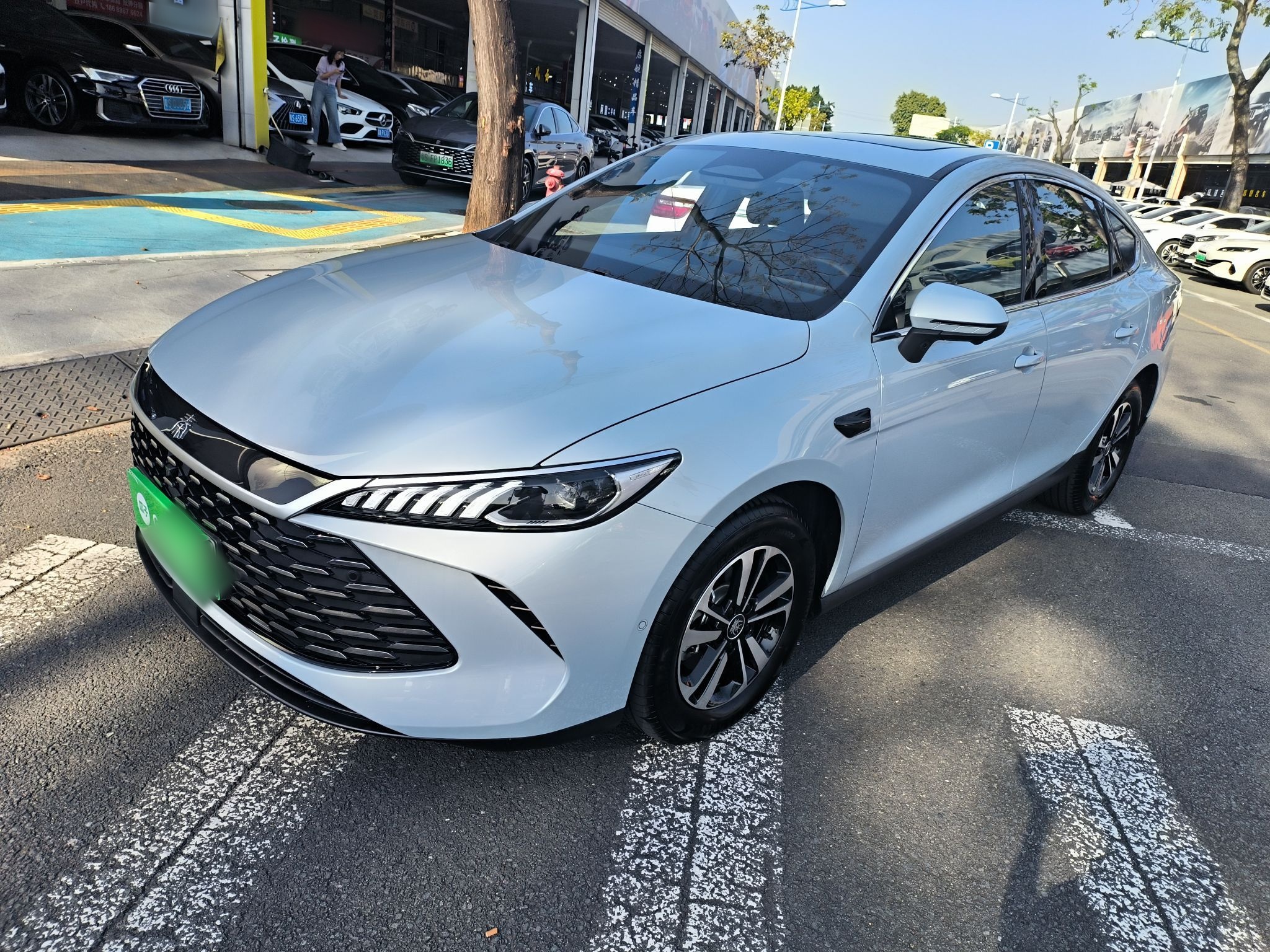 Parte inferior delantera