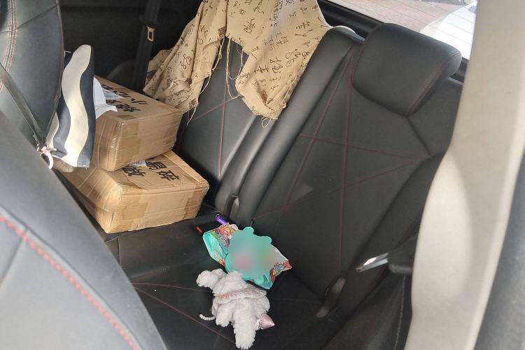 Used Chery Little Ant 2022 Sweet Pink Edition Full-Sugar Version Lithium Iron Phosphate 30 kW 301 km Left Rear Seat