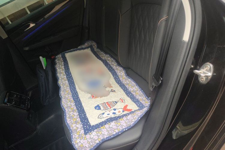 Used Volkswagen Passat 2020 Revised Version 330TSI Luxury Edition China VI Standard