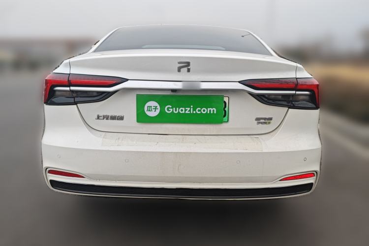 Used Rising ER6 2021 New Dynamic Edition 620km Smart Drive Version
