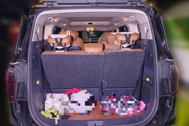 Used Hongqi HQ9 2023 2.0T Smart Connect Flagship Edition
