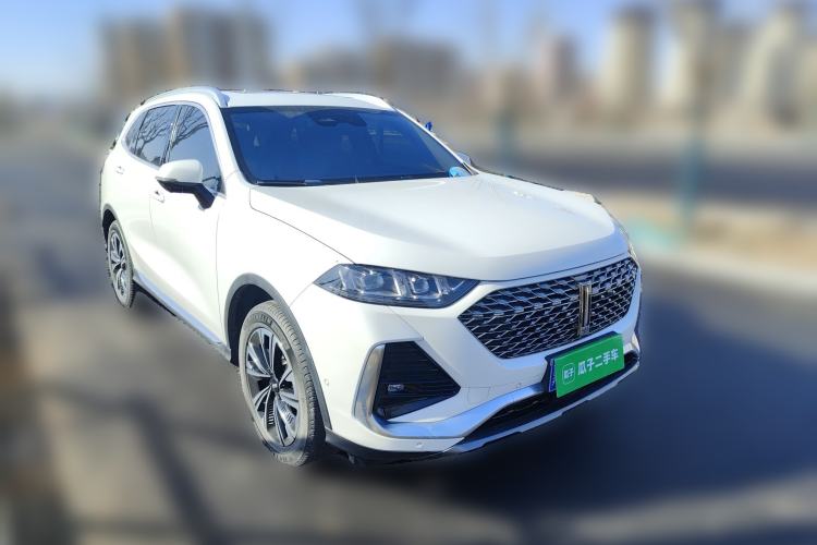 Used Wey Latte DHT 2022 1.5T DHT Extra-Large Cup