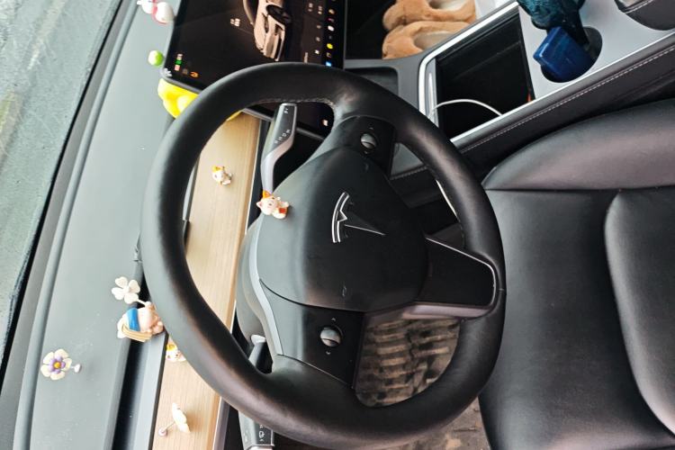 Used Tesla Model 3 2022 Rear-Wheel-Drive Version