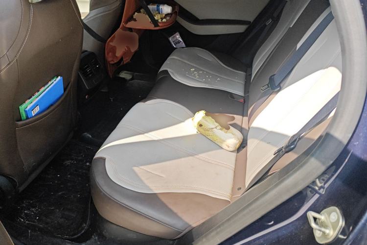 Used BYD Qin PLUS 2023 Champion Edition DM-i 55KM Leading Model