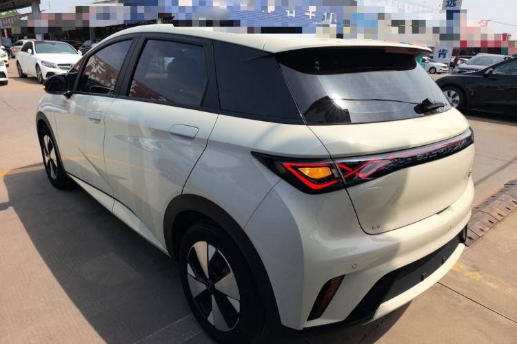 Used BYD Dolphin 2023 420 km Fashion Edition Rear Left 45 Deg