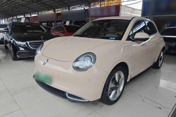 Used ORA Good Cat 2022 400km Standard Range Luxury Version Lithium Iron Phosphate
