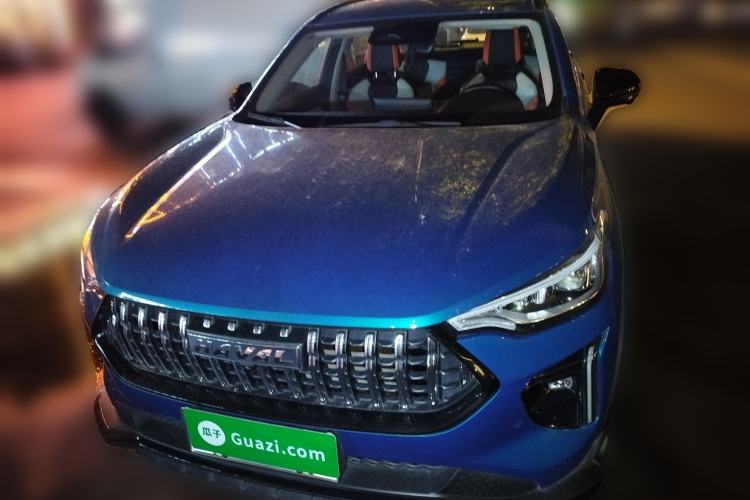 Used Haval LHERY 2021 High-Performance Version 1.5T Golden Rabbit
