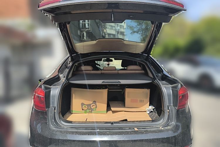 Used BMW X6 2017 xDrive28i Trunk