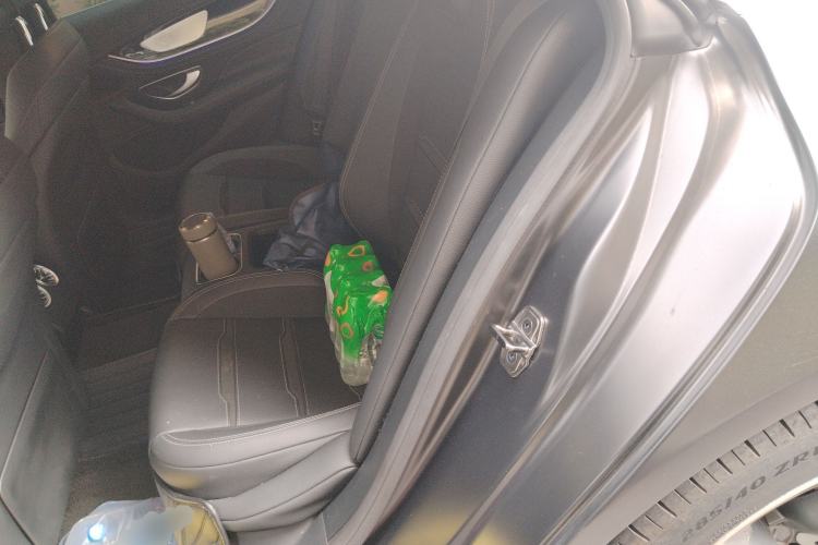 Used Mercedes-Benz AMG GT 2020 AMG GT 50 Four-Door Coupe Left Rear Seat