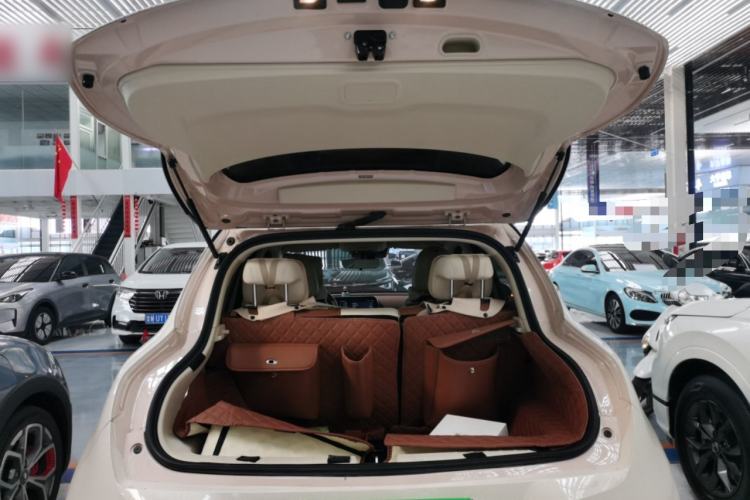 Used ORA Good Cat 2024 401 km Luxury Version