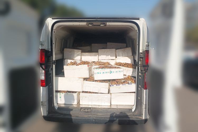 Used Ruichi EC75 2025 Intelligent Driving Ultra-Charging Version Pioneer II Type 50.1 kWh
