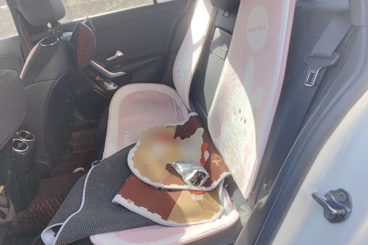 Used Mercedes-Benz A-Class 2020 Restyled A 200 L Sport Sedan Fashion Version
