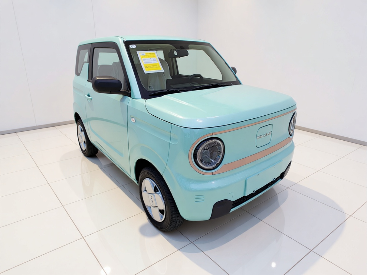Geely Galaxy Panda 2024 Panda Mini 200km Endurance Bear — снимка 3