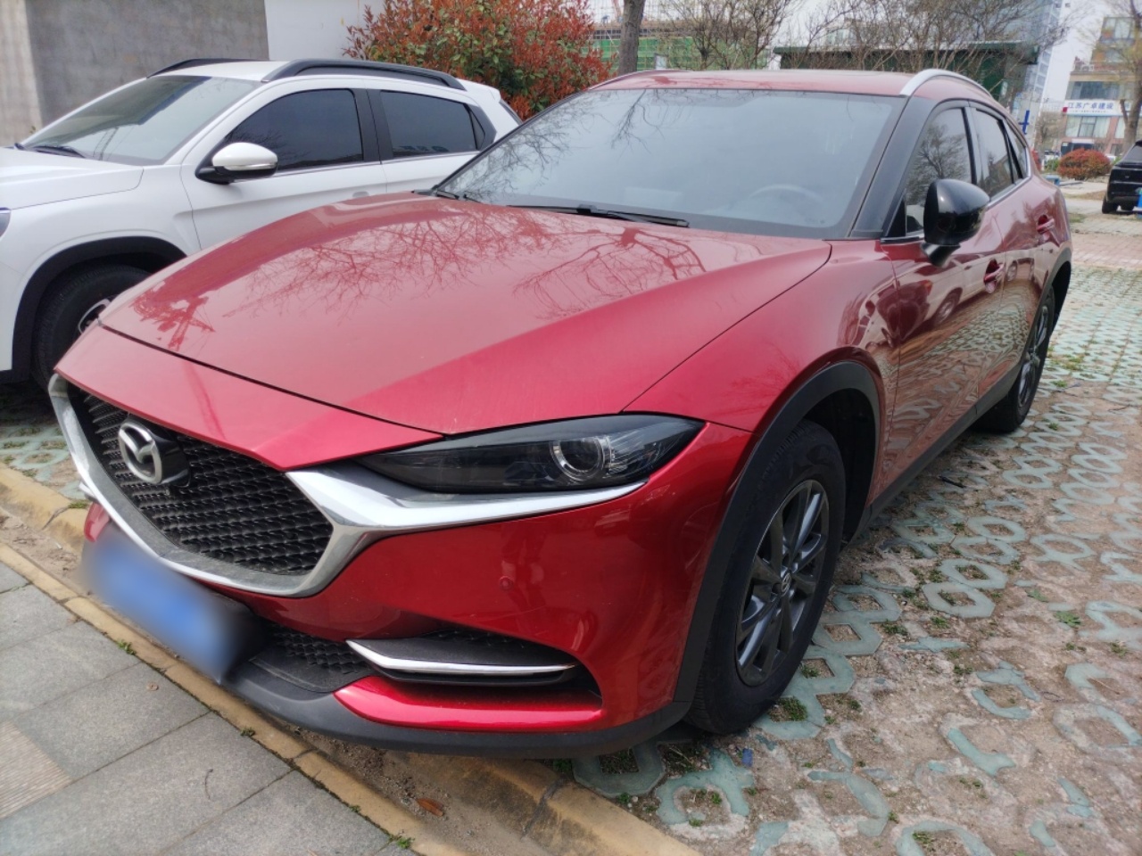 Parte inferior delantera