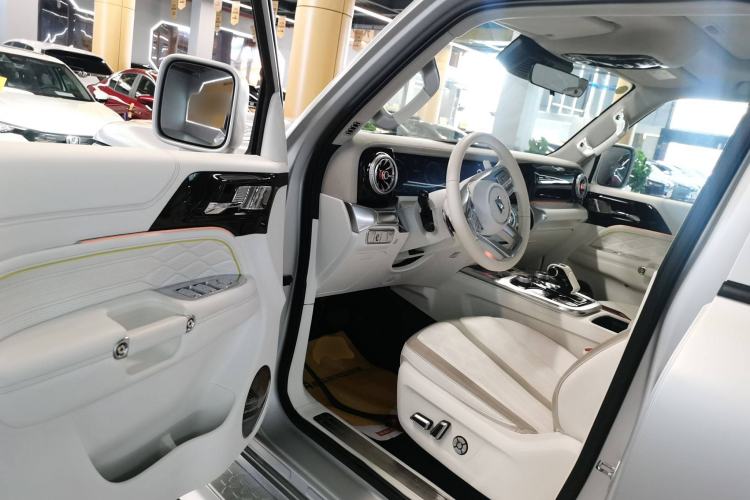 Used Cyberspace Tank 300 2021 2.0T Cyber Tank
