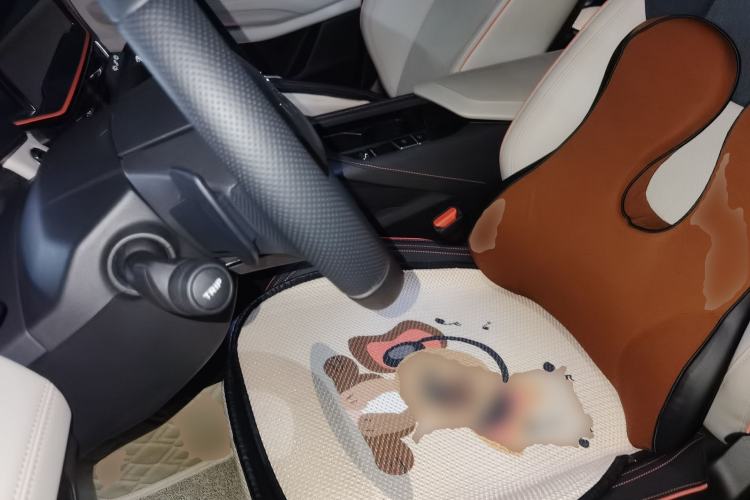 Used Lynk & Co 06 2021 1.5T Shero Pink Special Edition