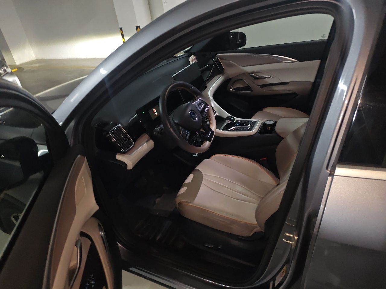 BYD Song Pro New Energy 2023 Champion Edition DM-i 71KM Leading Model — снимка 15