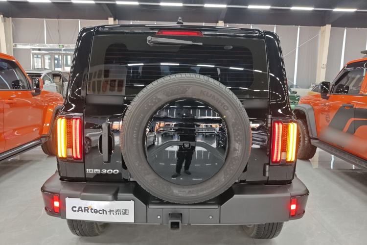 Used Tank 300 2024 2.0T Conqueror