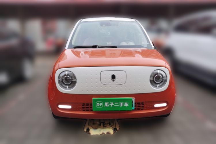 Used ORA Black Cat 2019 351 km Goddess Edition Front