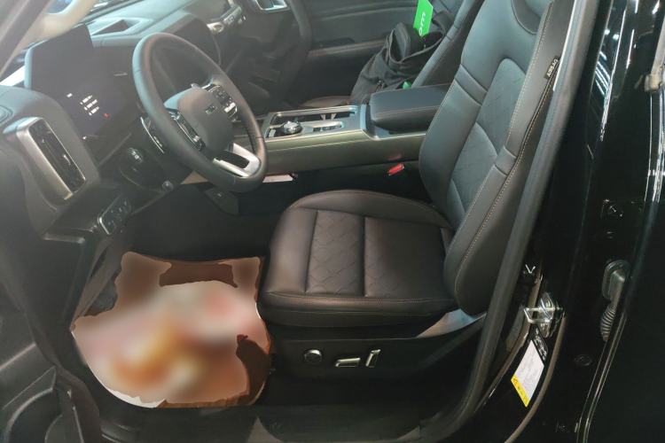 Used Haval DARGO 2024 2.0T DCT Chinese Rural Dog Edition
