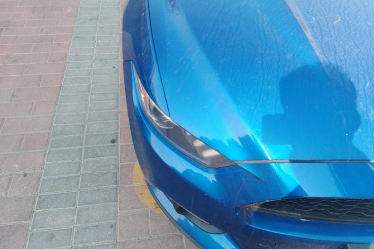 Used Ford Mustang 2017 2.3T Performance Edition Exterior 5