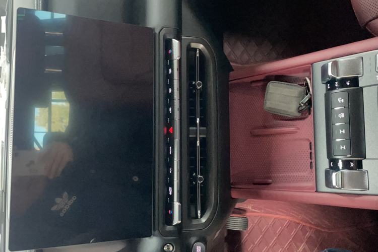 Used Tank 300 2025 2.4T Diesel Version
