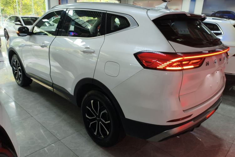 Used Haval H6 2023 National Trend Edition 1.5T Automatic Urban Version

