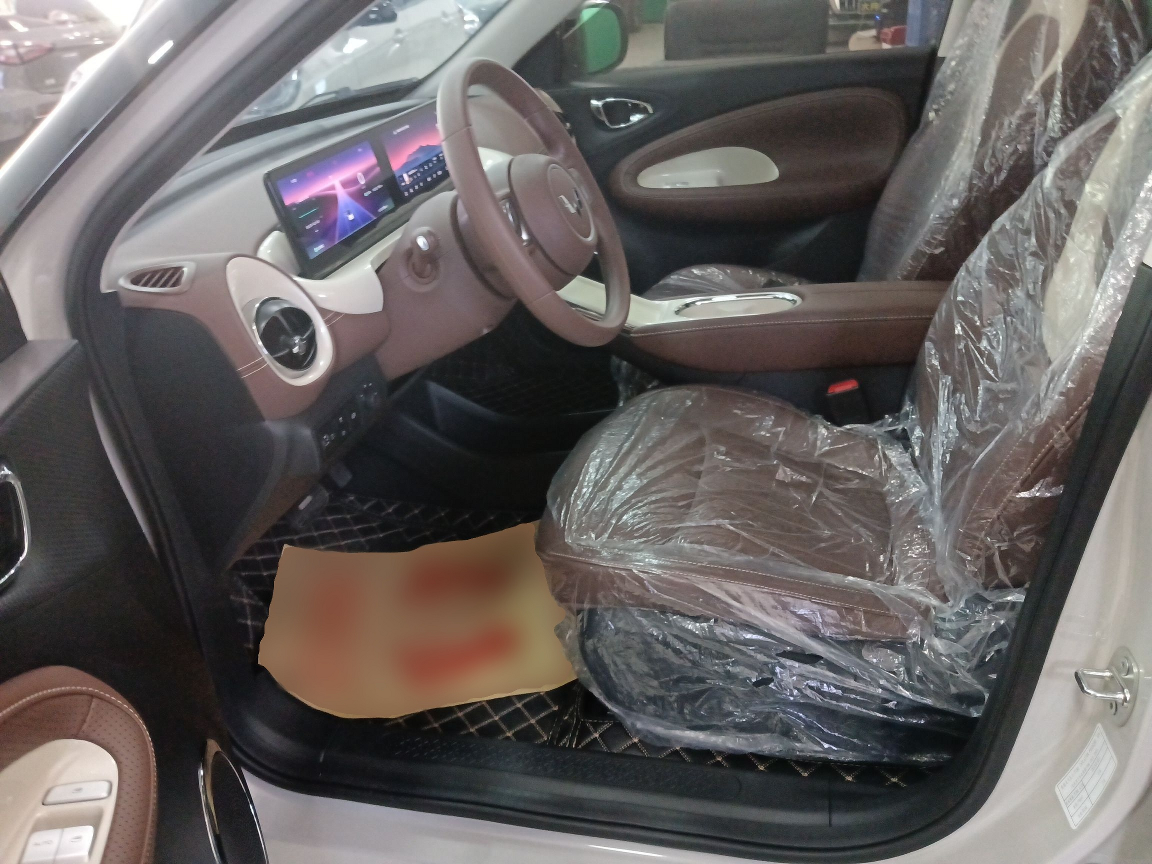 Interior delantero