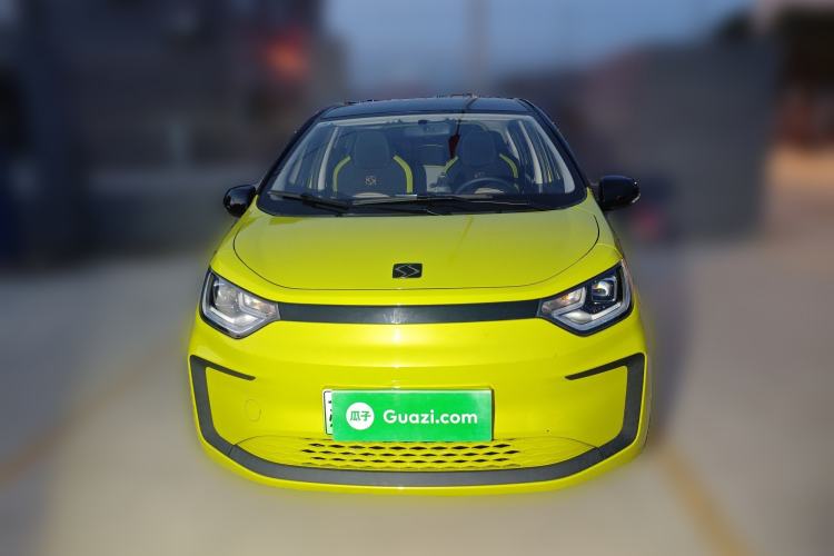 Used SOL E10X 2022 Flower Fairy Style Baby's Breath