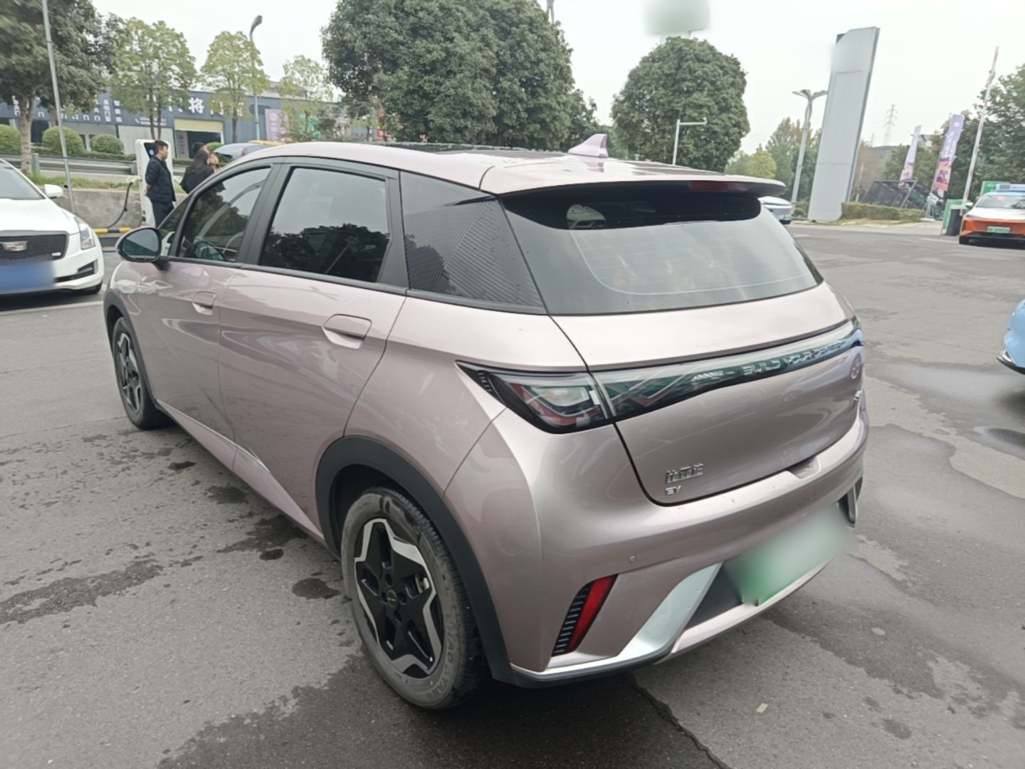 BYD Dolphin 2021 405 km Fashion Edition — снимка 4