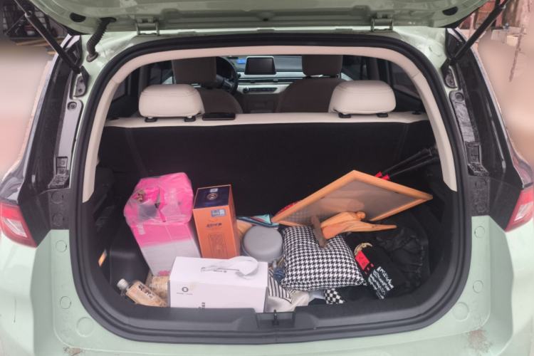 Used Dayun Yuehu 2023 300 Standard Edition