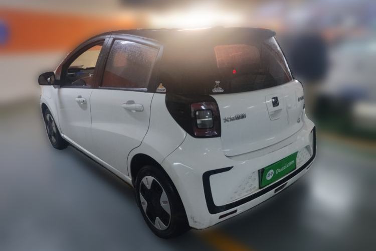 Used SOL E10X 2022 Flower Fairy Design Four-Leaf Clover
