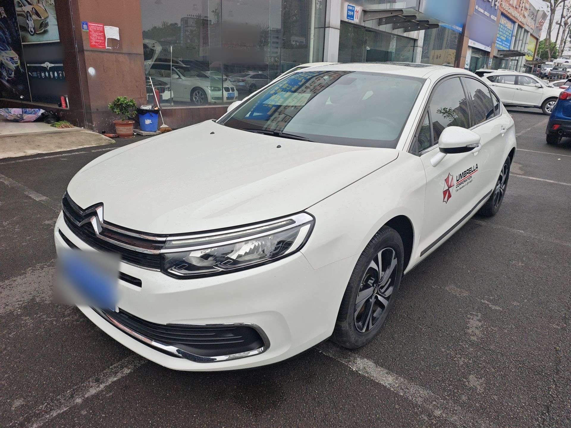 Parte inferior delantera