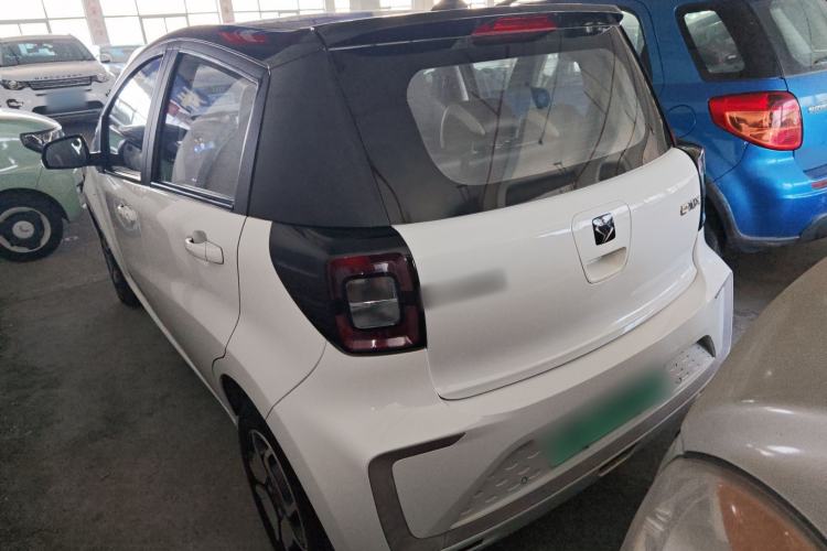 Used SOL E10X 2022 Flower Fairy Style Baby's Breath