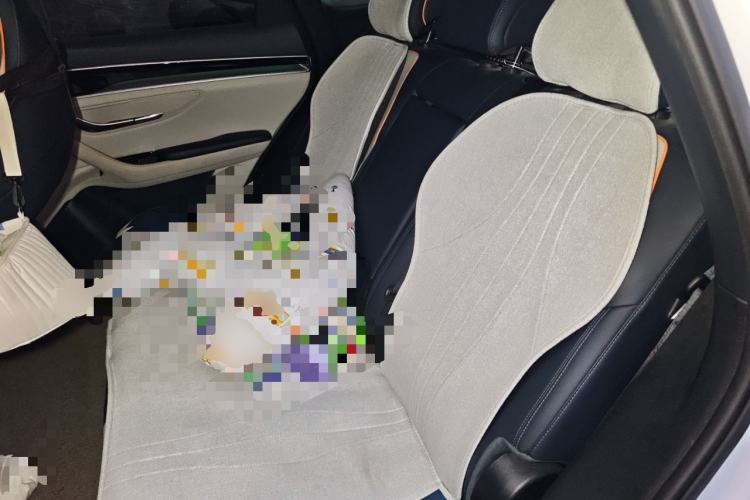 Used BYD Song PLUS New Energy 2021 DM-i 110KM Flagship PLUS Left Rear Seat