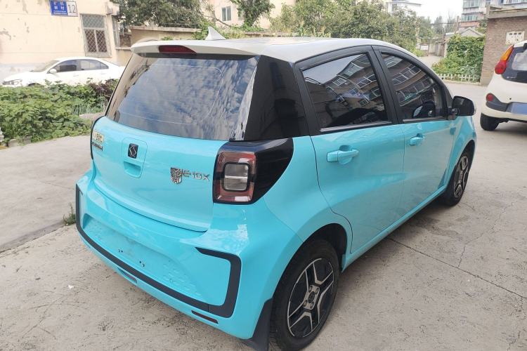 Used SOL E10X 2022 Flower Fairy Design Four-Leaf Clover