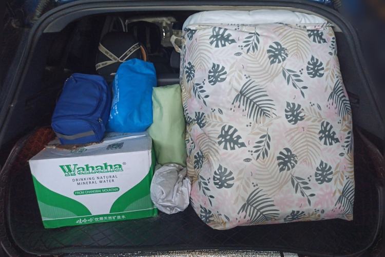 Used Renault Kadjar 2017 2.0L Two-Wheel Drive Fashion Edition