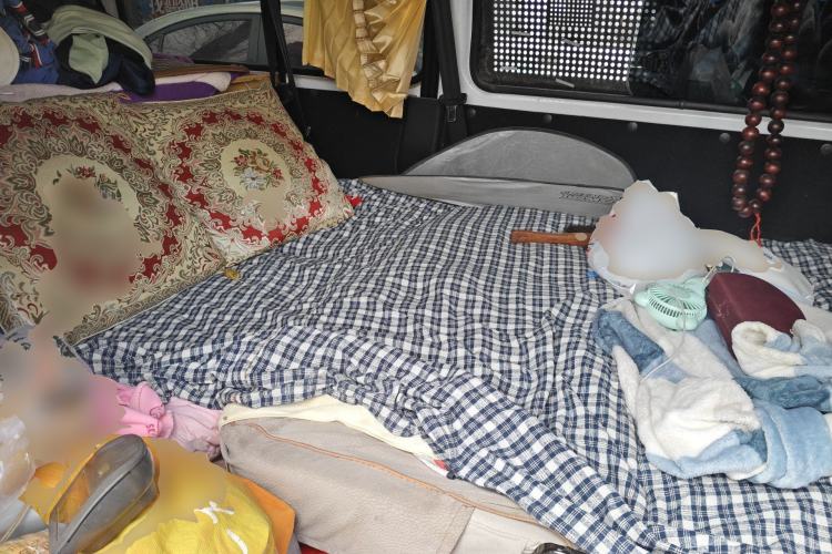 Used FORTHING Lingzhi 2020 M5L 1.6L Utility Model
