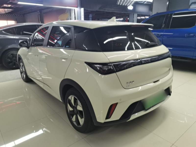 Used BYD Dolphin 2025 420km Free Edition — 4