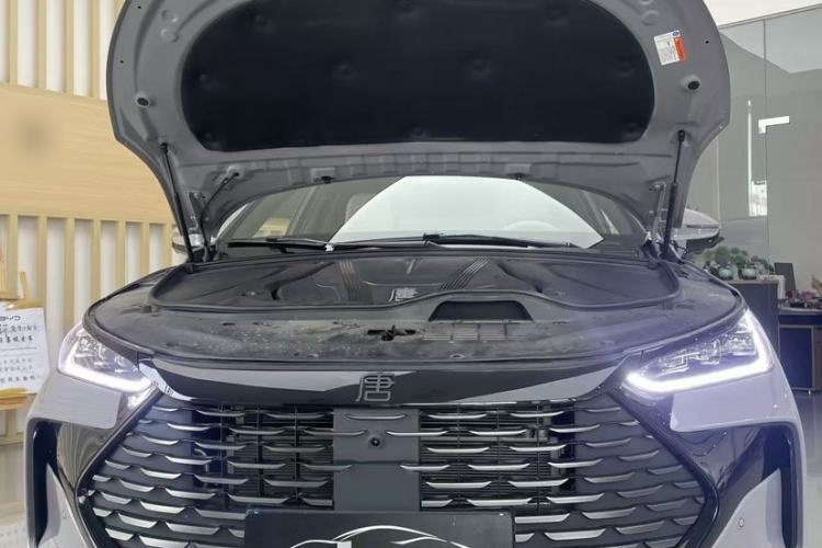 Used BYD Tang New Energy 2025 DM-i 115KM Flagship Model
