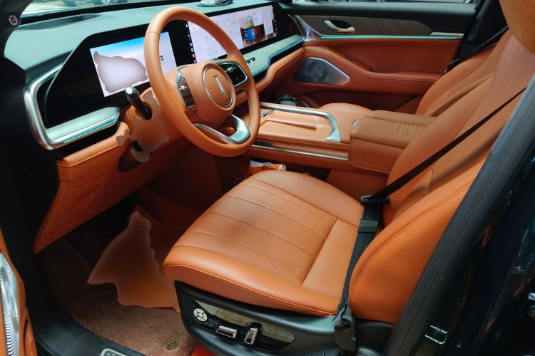 Used Wey Lanshan 2023 Four-Wheel Drive Ultra-Long Range Version Left Front Seat