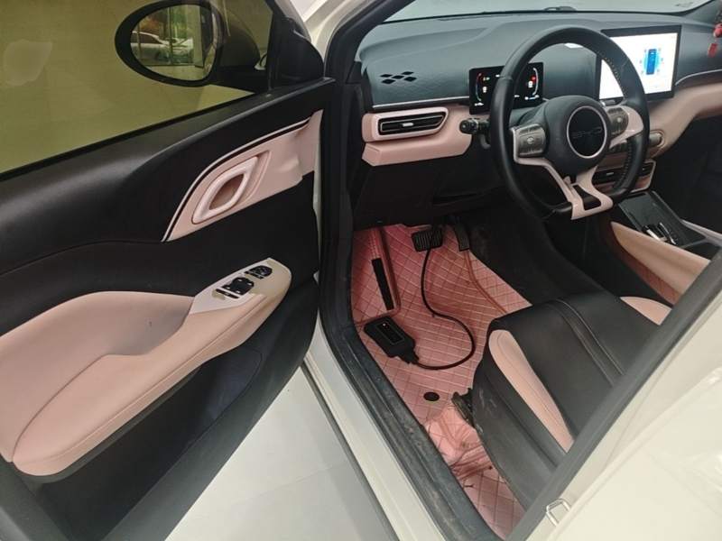 Used BYD Seagull 2023 Free Edition — 17