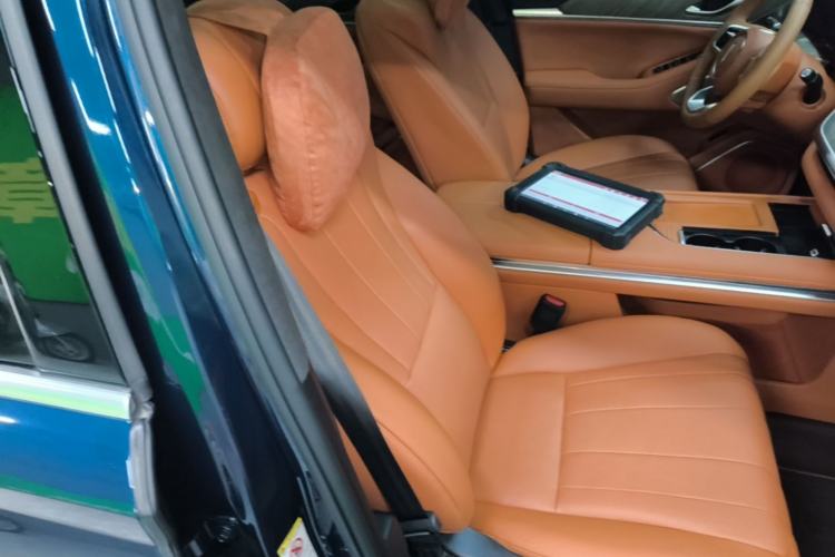 Used Wey Lanshan 2023 Four-Wheel Drive Ultra-Long Range Version Right Front Seat