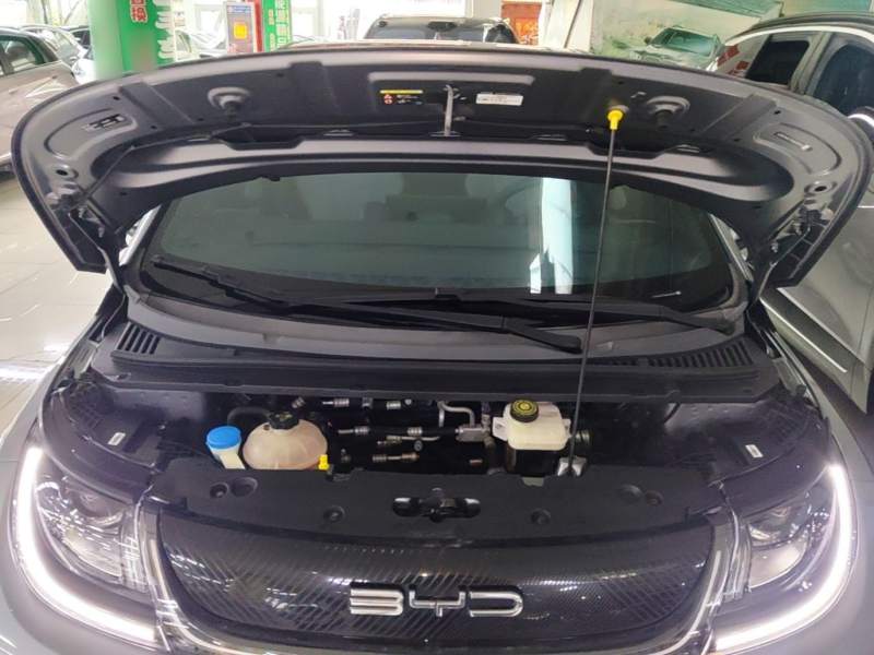 Used BYD Dolphin 2021 405 km Fashion Edition — 19
