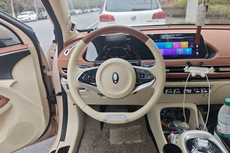 Used ORA Good Cat 2022 Morandi Edition 400km Standard Range Premium Version Lithium Iron Phosphate
