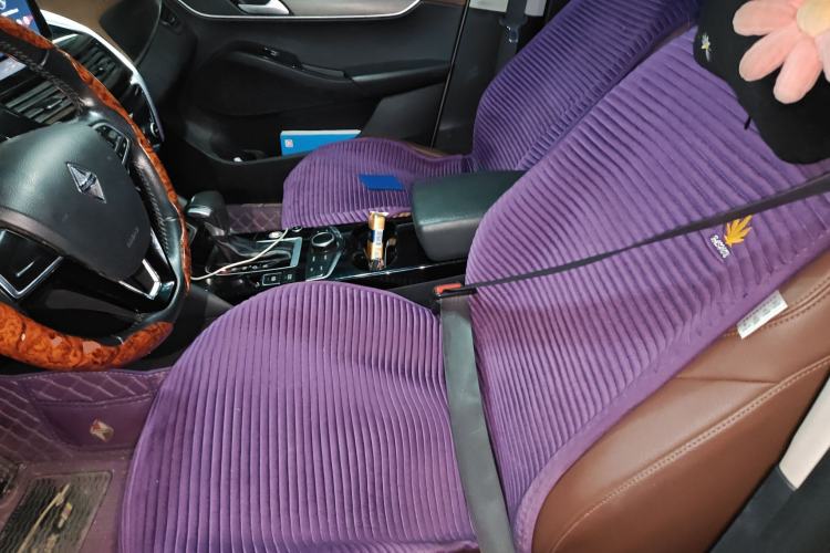 Used BORGWARD BX5 2017 20TGDI Automatic Two-Wheel Drive Pioneer Edition Left Front Seat