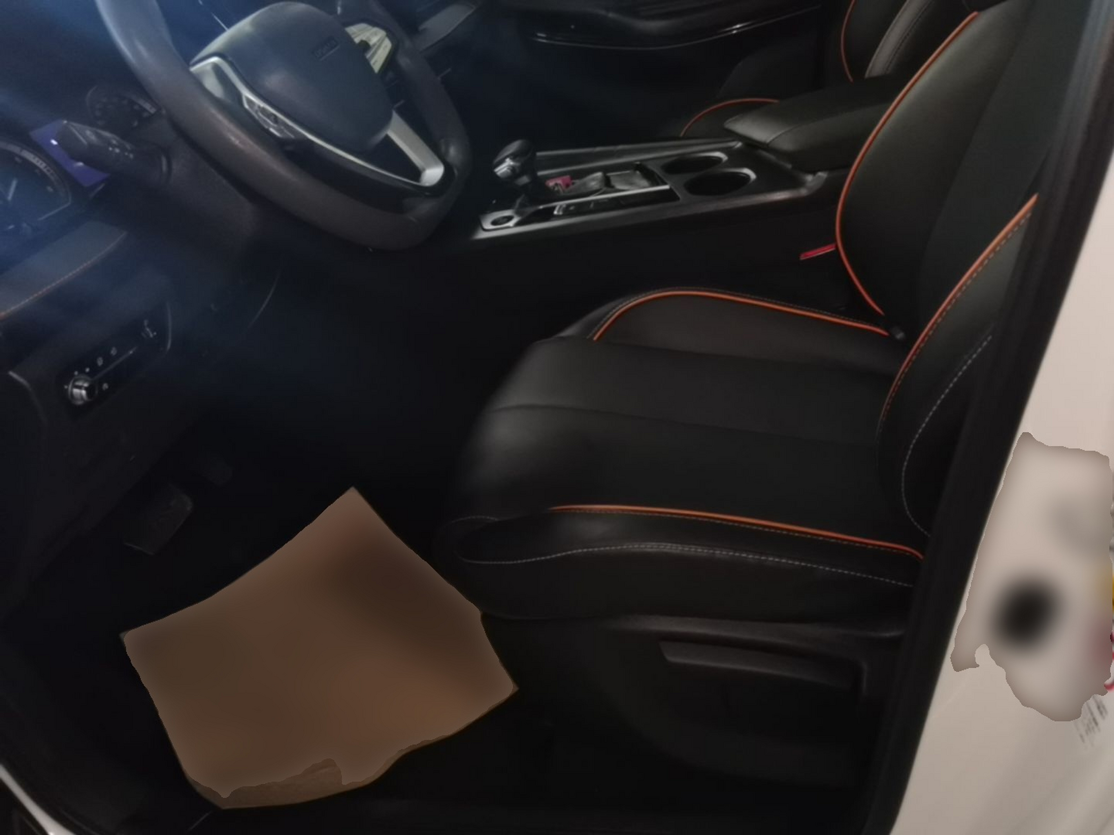 Interior delantero