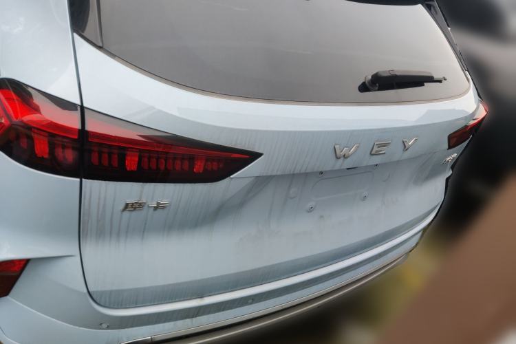 Used Wey Mocha 2021 2.0T Four-Wheel Drive Premium Edition