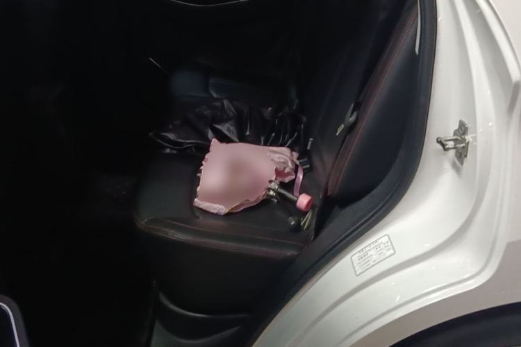 Used BAIC Senova X55 2016 1.5T CVT Elite Edition
