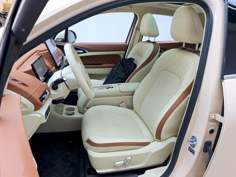 Used ORA Good Cat 2025 Model, 430 km Prestige Version — 14